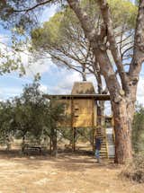 Architect Gonçalo Marrote of Madeiguincho walks the perimeter of the tree house.